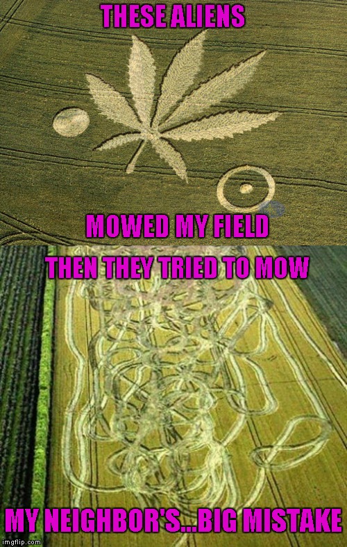 I guess I used a little too much Round Up! | THESE ALIENS; MOWED MY FIELD; THEN THEY TRIED TO MOW; MY NEIGHBOR'S...BIG MISTAKE | image tagged in marijuana crop circle,memes,crop circles,funny,fields of dreams | made w/ Imgflip meme maker