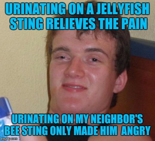 10 Guy Meme | URINATING ON A JELLYFISH STING RELIEVES THE PAIN; URINATING ON MY NEIGHBOR'S BEE STING ONLY MADE HIM  ANGRY | image tagged in memes,10 guy | made w/ Imgflip meme maker