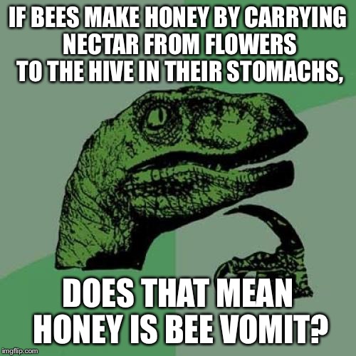 Philosoraptor | IF BEES MAKE HONEY BY CARRYING NECTAR FROM FLOWERS TO THE HIVE IN THEIR STOMACHS, DOES THAT MEAN HONEY IS BEE VOMIT? | image tagged in memes,philosoraptor,honey,bees | made w/ Imgflip meme maker