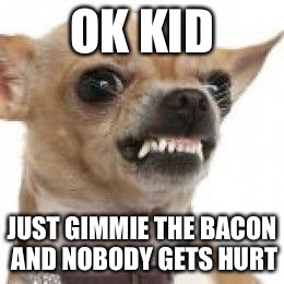 raging chihuahua | OK KID; JUST GIMMIE THE BACON AND NOBODY GETS HURT | image tagged in raging chihuahua | made w/ Imgflip meme maker