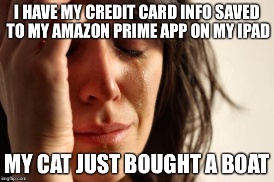 Damn touchpad technology! | I HAVE MY CREDIT CARD INFO SAVED TO MY AMAZON PRIME APP ON MY IPAD; MY CAT JUST BOUGHT A BOAT | image tagged in memes,first world problems | made w/ Imgflip meme maker