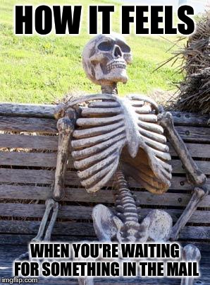 Waiting Skeleton Meme | HOW IT FEELS; WHEN YOU'RE WAITING FOR SOMETHING IN THE MAIL | image tagged in memes,waiting skeleton | made w/ Imgflip meme maker
