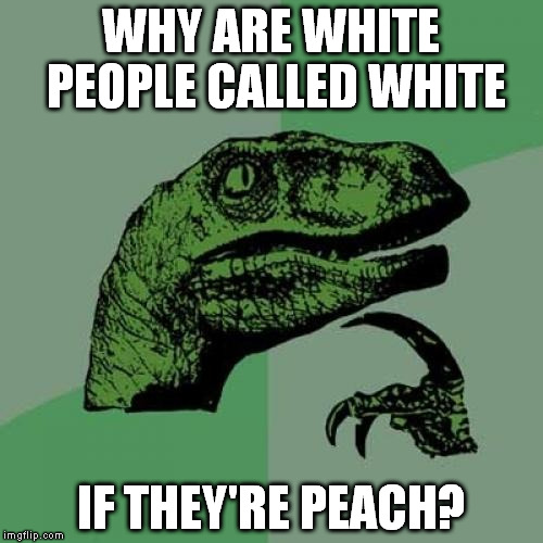 Philosoraptor Meme | WHY ARE WHITE PEOPLE CALLED WHITE; IF THEY'RE PEACH? | image tagged in memes,philosoraptor | made w/ Imgflip meme maker