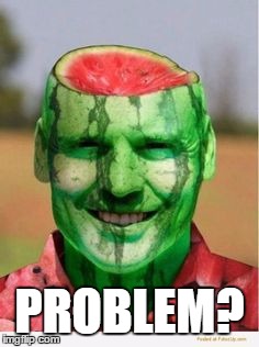 Watermelon Guy | PROBLEM? | image tagged in watermelon guy | made w/ Imgflip meme maker