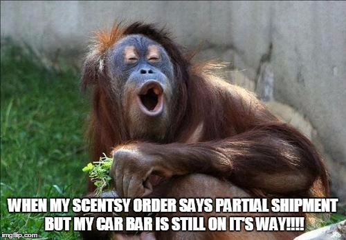 funnymonkey | WHEN MY SCENTSY ORDER SAYS PARTIAL SHIPMENT BUT MY CAR BAR IS STILL ON IT'S WAY!!!! | image tagged in funnymonkey | made w/ Imgflip meme maker