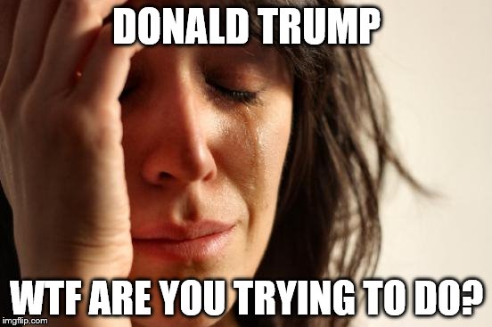 First World Problems | DONALD TRUMP; WTF ARE YOU TRYING TO DO? | image tagged in memes,first world problems | made w/ Imgflip meme maker