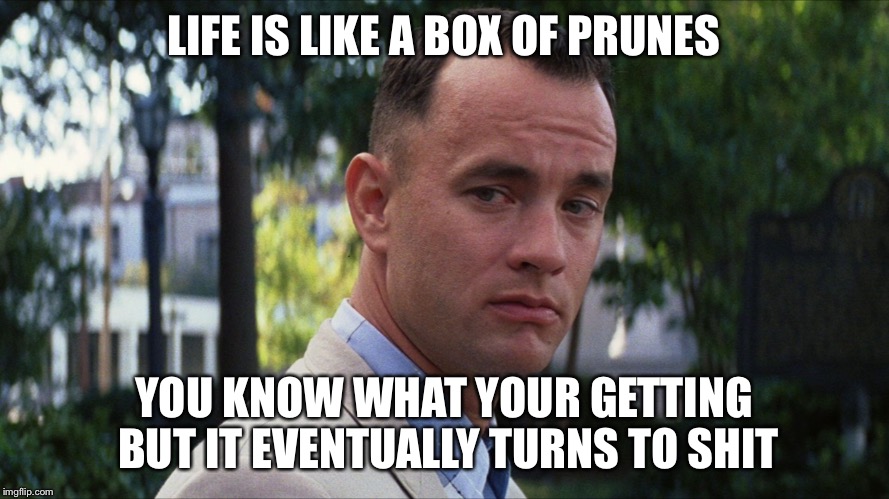 LIFE IS LIKE A BOX OF PRUNES; YOU KNOW WHAT YOUR GETTING BUT IT EVENTUALLY TURNS TO SHIT | image tagged in forest gump,memes,shit,dank,dank meme | made w/ Imgflip meme maker