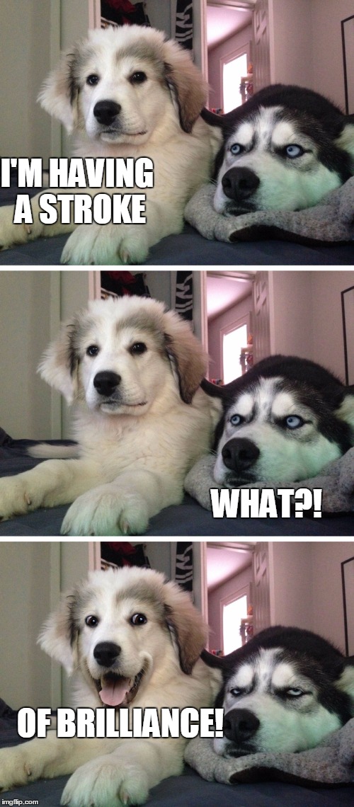 Bad pun dogs | I'M HAVING A STROKE; WHAT?! OF BRILLIANCE! | image tagged in bad pun dogs | made w/ Imgflip meme maker
