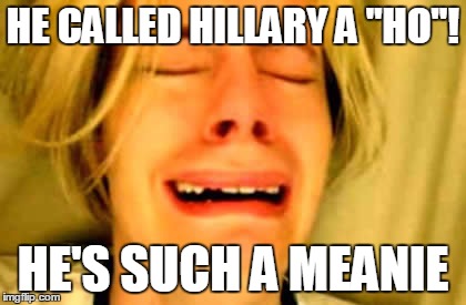 HE CALLED HILLARY A "HO"! HE'S SUCH A MEANIE | made w/ Imgflip meme maker