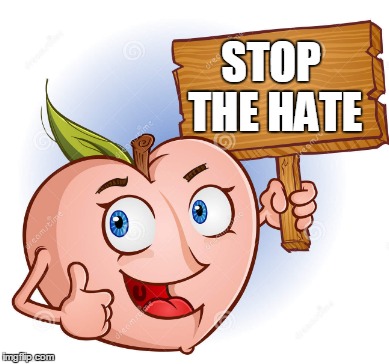 STOP THE HATE | made w/ Imgflip meme maker