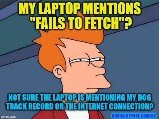 Fails to fetch. | MY LAPTOP MENTIONS "FAILS TO FETCH"? NOT SURE THE LAPTOP IS MENTIONING MY DOG TRACK RECORD OR THE INTERNET CONNECTION? ARSJAAD POESE COMEDY | image tagged in memes,futurama fry,fetch,laptop,track,record | made w/ Imgflip meme maker