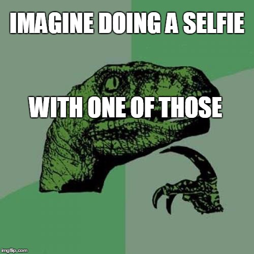 Philosoraptor Meme | IMAGINE DOING A SELFIE WITH ONE OF THOSE | image tagged in memes,philosoraptor | made w/ Imgflip meme maker