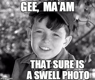 GEE,  MA'AM THAT SURE IS A SWELL PHOTO | image tagged in beave | made w/ Imgflip meme maker