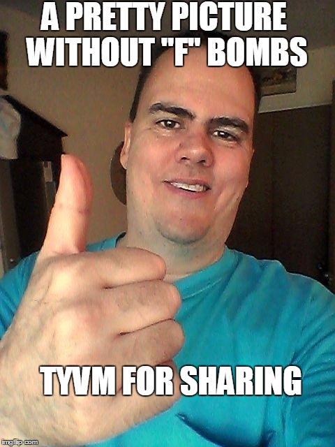 A PRETTY PICTURE WITHOUT "F" BOMBS TYVM FOR SHARING | image tagged in thumb up | made w/ Imgflip meme maker