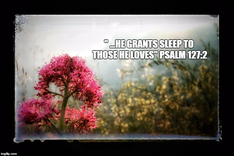 Sleep | " ...HE GRANTS SLEEP TO THOSE HE LOVES" PSALM 127:2 | image tagged in sleep,psalms,god,rest,insomnia,tired | made w/ Imgflip meme maker