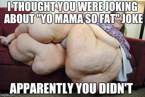 The hard truth  | I THOUGHT YOU WERE JOKING ABOUT "YO MAMA SO FAT" JOKE; APPARENTLY YOU DIDN'T | image tagged in fat girl | made w/ Imgflip meme maker