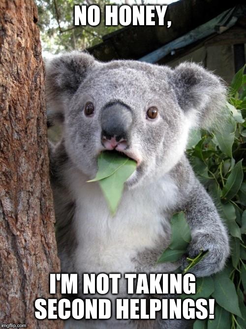 Surprised Koala | NO HONEY, I'M NOT TAKING SECOND HELPINGS! | image tagged in memes,surprised koala | made w/ Imgflip meme maker