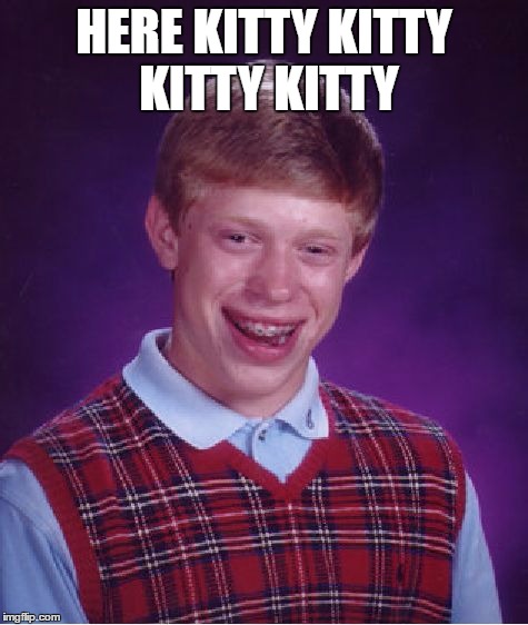 Bad Luck Brian Meme | HERE KITTY KITTY KITTY KITTY | image tagged in memes,bad luck brian | made w/ Imgflip meme maker