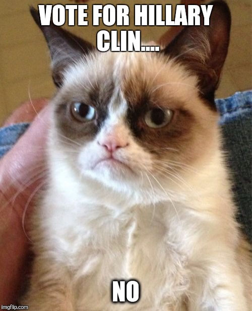 Grumpy Cat Meme | VOTE FOR HILLARY CLIN.... NO | image tagged in memes,grumpy cat | made w/ Imgflip meme maker