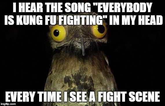 Weird Stuff I Do Potoo | I HEAR THE SONG "EVERYBODY IS KUNG FU FIGHTING" IN MY HEAD; EVERY TIME I SEE A FIGHT SCENE | image tagged in memes,weird stuff i do potoo | made w/ Imgflip meme maker