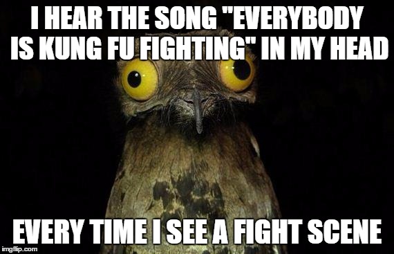 Weird Stuff I Do Potoo Meme | I HEAR THE SONG "EVERYBODY IS KUNG FU FIGHTING" IN MY HEAD; EVERY TIME I SEE A FIGHT SCENE | image tagged in memes,weird stuff i do potoo | made w/ Imgflip meme maker