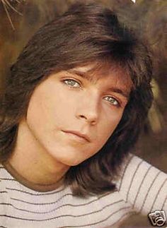 David Cassidy Blank Meme Template