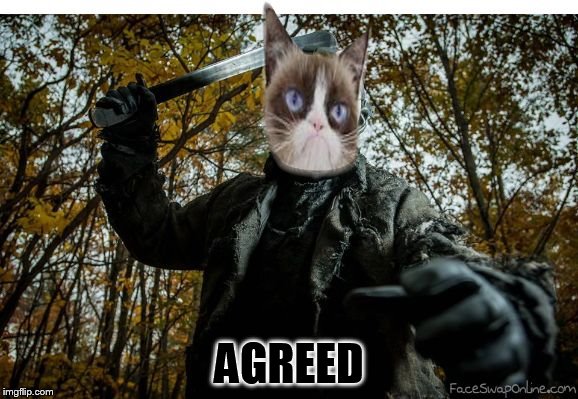grumpy cat jason | AGREED | image tagged in grumpy cat jason | made w/ Imgflip meme maker