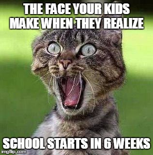 Shocked Cat | THE FACE YOUR KIDS MAKE WHEN THEY REALIZE; SCHOOL STARTS IN 6 WEEKS | image tagged in shocked cat | made w/ Imgflip meme maker