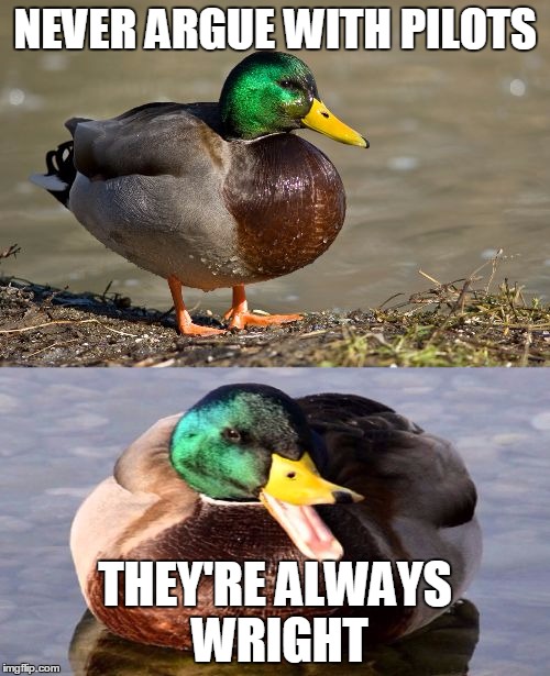 Punny Advice Mallard | NEVER ARGUE WITH PILOTS; THEY'RE ALWAYS WRIGHT | image tagged in bad pun duck,memes,actual advice mallard,bad pun | made w/ Imgflip meme maker