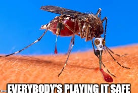 EVERYBODY'S PLAYING IT SAFE | image tagged in memes about memes,zika virus,rio,queen elizabeth london olympics not amused | made w/ Imgflip meme maker