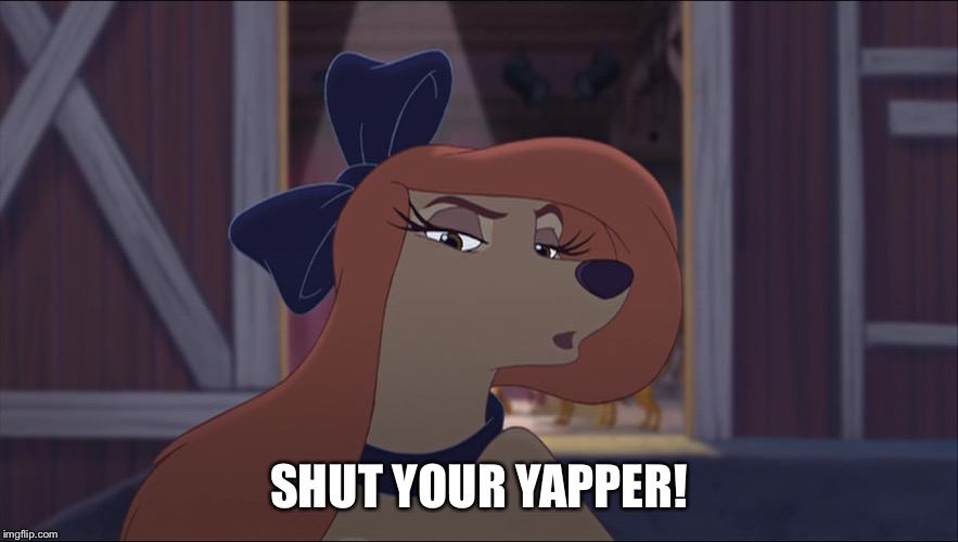 Shut Your Yapper! | SHUT YOUR YAPPER! | image tagged in dixie tough,memes,disney,the fox and the hound 2,reba mcentire,dog | made w/ Imgflip meme maker