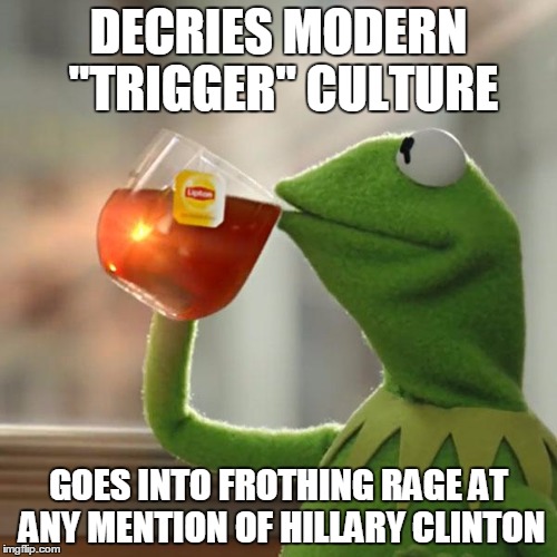 But That's None Of My Business Meme | DECRIES MODERN "TRIGGER" CULTURE; GOES INTO FROTHING RAGE AT ANY MENTION OF HILLARY CLINTON | image tagged in memes,but thats none of my business,kermit the frog | made w/ Imgflip meme maker