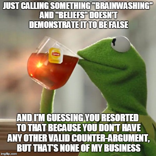 But That's None Of My Business Meme | JUST CALLING SOMETHING "BRAINWASHING" AND "BELIEFS" DOESN'T DEMONSTRATE IT TO BE FALSE AND I'M GUESSING YOU RESORTED TO THAT BECAUSE YOU DON | image tagged in memes,but thats none of my business,kermit the frog | made w/ Imgflip meme maker