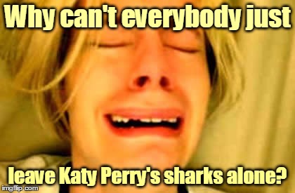 Why can't everybody just leave Katy Perry's sharks alone? | made w/ Imgflip meme maker