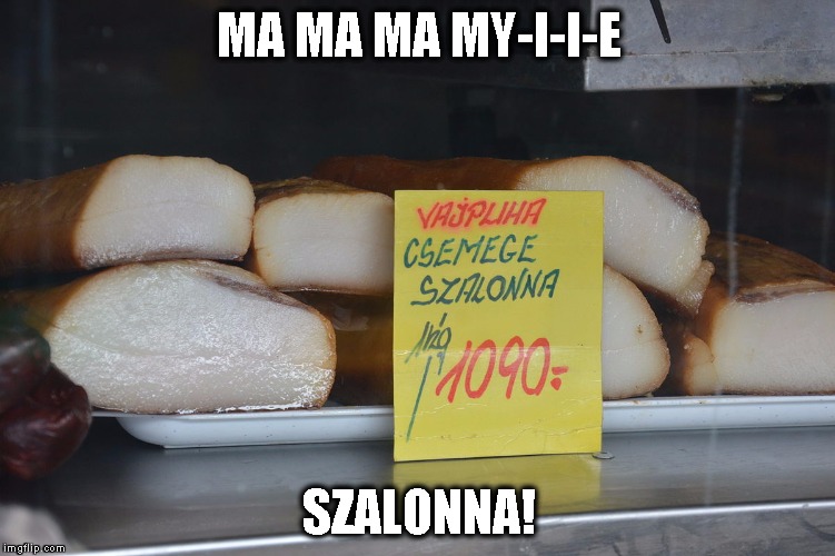MA MA MA MY-I-I-E; SZALONNA! | image tagged in szalonna | made w/ Imgflip meme maker