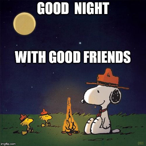 Snoopy good night good friends | GOOD  NIGHT; WITH GOOD FRIENDS | image tagged in snoopy,woodstock,campfire | made w/ Imgflip meme maker