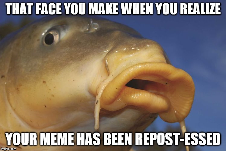 I know I'm New at this and No One is Reposting my Memes, but still, I Call it Getting Re-Post-Essed......... | THAT FACE YOU MAKE WHEN YOU REALIZE; YOUR MEME HAS BEEN REPOST-ESSED | image tagged in carp,memes,repost | made w/ Imgflip meme maker