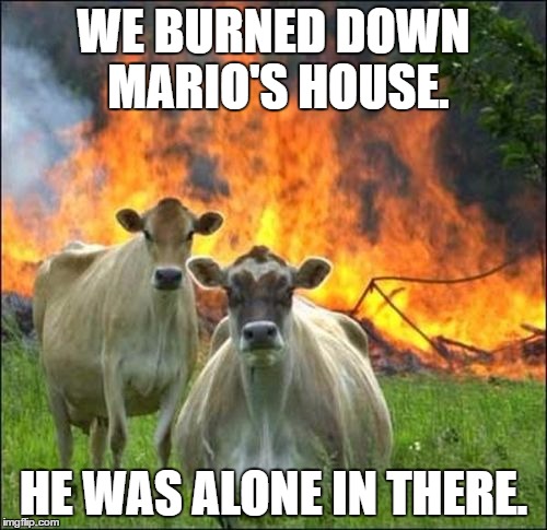 Evil Cows | WE BURNED DOWN MARIO'S HOUSE. HE WAS ALONE IN THERE. | image tagged in memes,evil cows | made w/ Imgflip meme maker