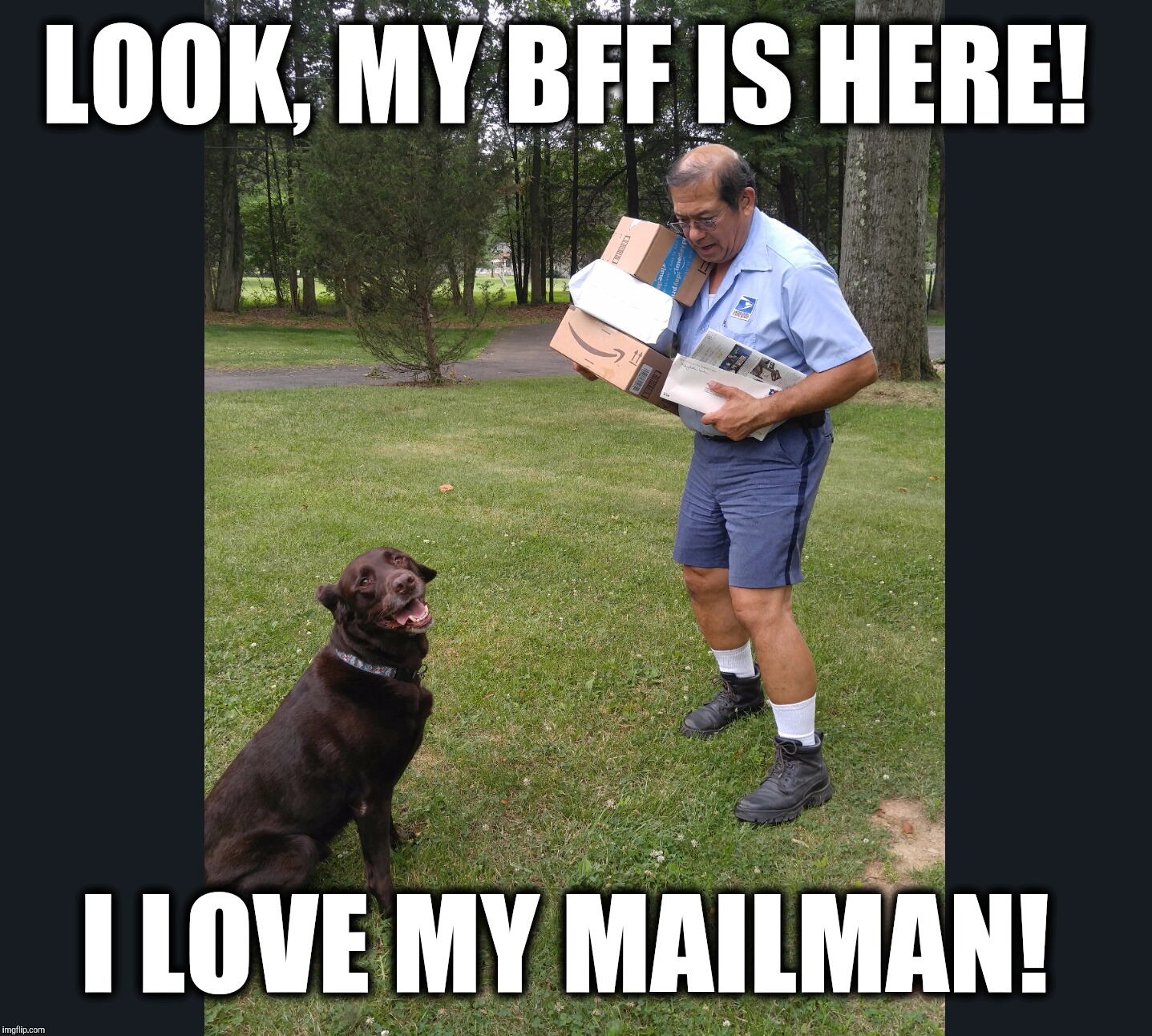 My BFF is the mailman!  | LOOK, MY BFF IS HERE! I LOVE MY MAILMAN! | image tagged in chuckie the chocolate lab,mailman,bffs,funny dog,funny memes,cute dog | made w/ Imgflip meme maker