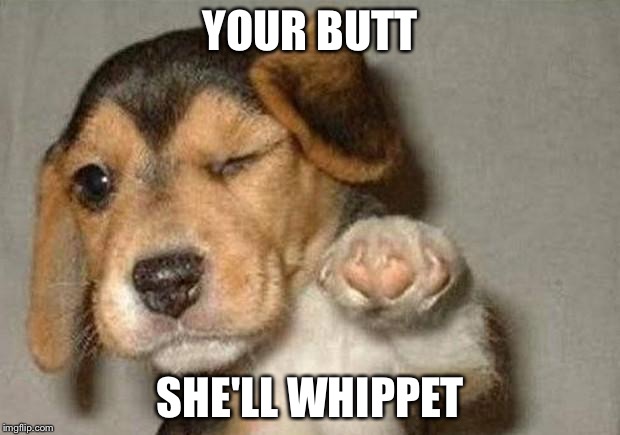 YOUR BUTT SHE'LL WHIPPET | made w/ Imgflip meme maker