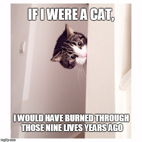 Curious car |  IF I WERE A CAT, I WOULD HAVE BURNED THROUGH THOSE NINE LIVES YEARS AGO | image tagged in curious car | made w/ Imgflip meme maker