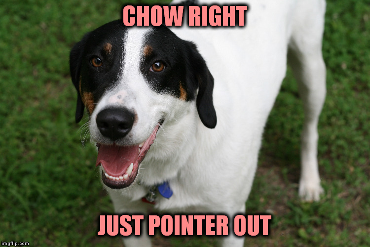 CHOW RIGHT JUST POINTER OUT | made w/ Imgflip meme maker