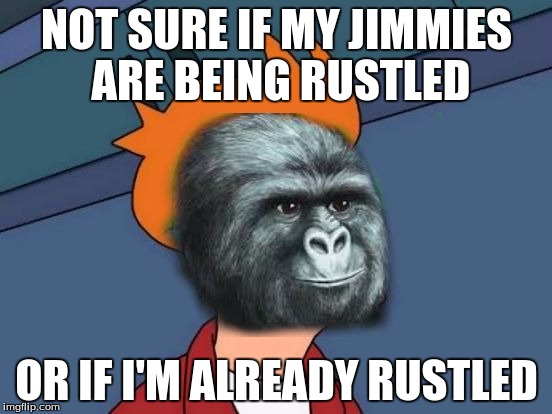 Futurama Jimmie Rustling | NOT SURE IF MY JIMMIES ARE BEING RUSTLED; OR IF I'M ALREADY RUSTLED | image tagged in futurama jimmie rustling,memes,rustle my jimmies | made w/ Imgflip meme maker