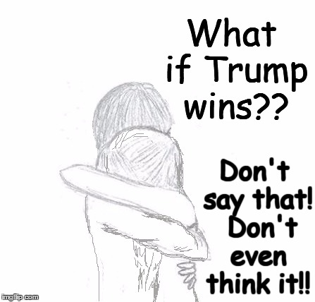 What if Trump wins?? Don't say that!  Don't even think it!! | image tagged in hold | made w/ Imgflip meme maker