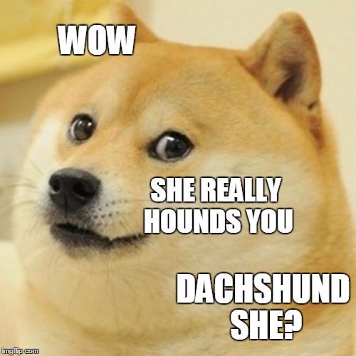 Doge Meme | WOW SHE REALLY HOUNDS YOU DACHSHUND SHE? | image tagged in memes,doge | made w/ Imgflip meme maker