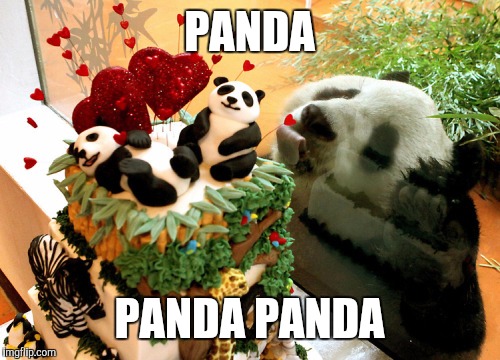 panda memes tumblr