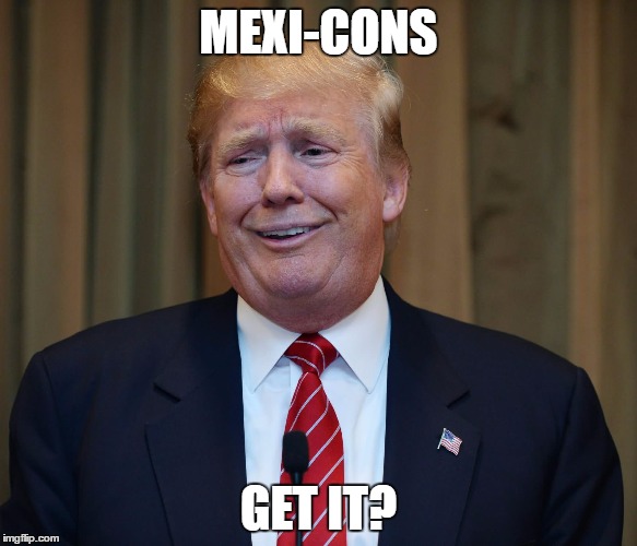 Trump Mexicans | MEXI-CONS; GET IT? | image tagged in donald trump,mexicans,fence aka border wall,racist,trump 2016,bad pun trump | made w/ Imgflip meme maker