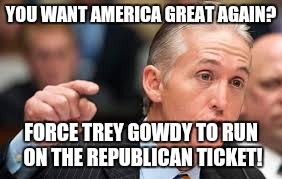 Trey Gowdy | YOU WANT AMERICA GREAT AGAIN? FORCE TREY GOWDY TO RUN ON THE REPUBLICAN TICKET! | image tagged in trey gowdy | made w/ Imgflip meme maker