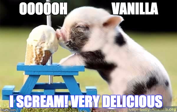 I SCREAM! | OOOOOH                 VANILLA; I SCREAM! VERY DELICIOUS | image tagged in pigs,ice scream memes,cute pig memes | made w/ Imgflip meme maker