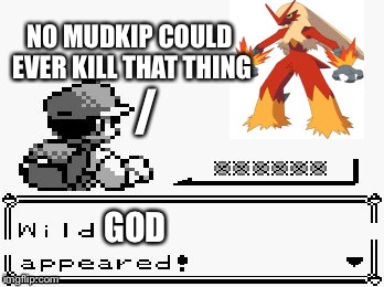 Whenever a Blaziken appears on my image I tag the image "god" | NO MUDKIP COULD EVER KILL THAT THING; /; GOD | image tagged in pokemon appears,god,pokemon,mudkip | made w/ Imgflip meme maker